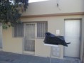 /album/frentes/a20130830-174048-jpg/